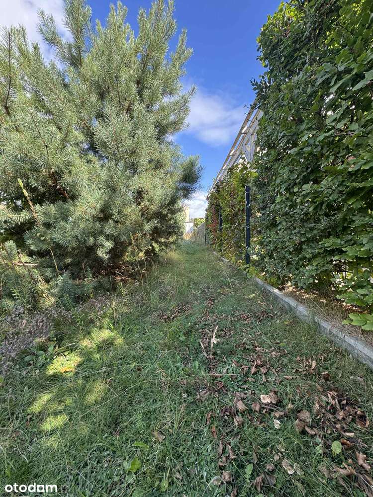 Działka budowlana 644 m² | 159 000 zł | Kaźmierz, pow. szamotulski-16