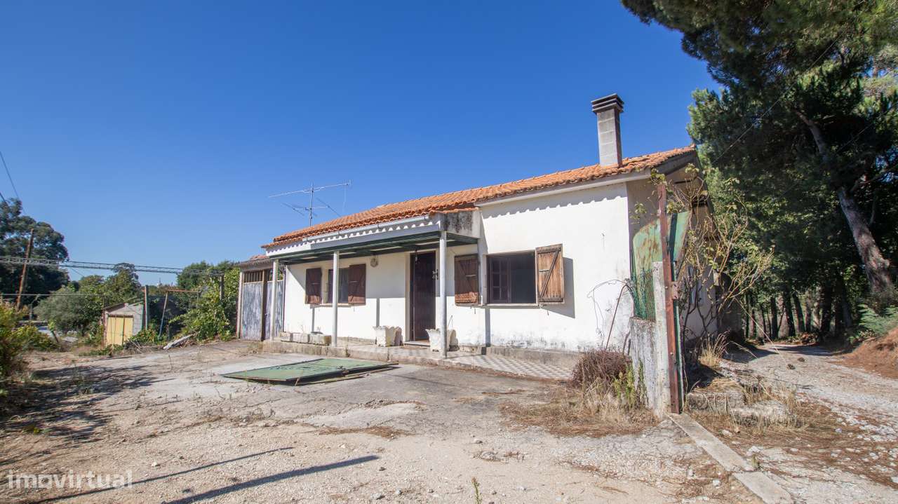 Fantástica Quinta com 3.450 m² a 3 km de Carregal do Sal-9