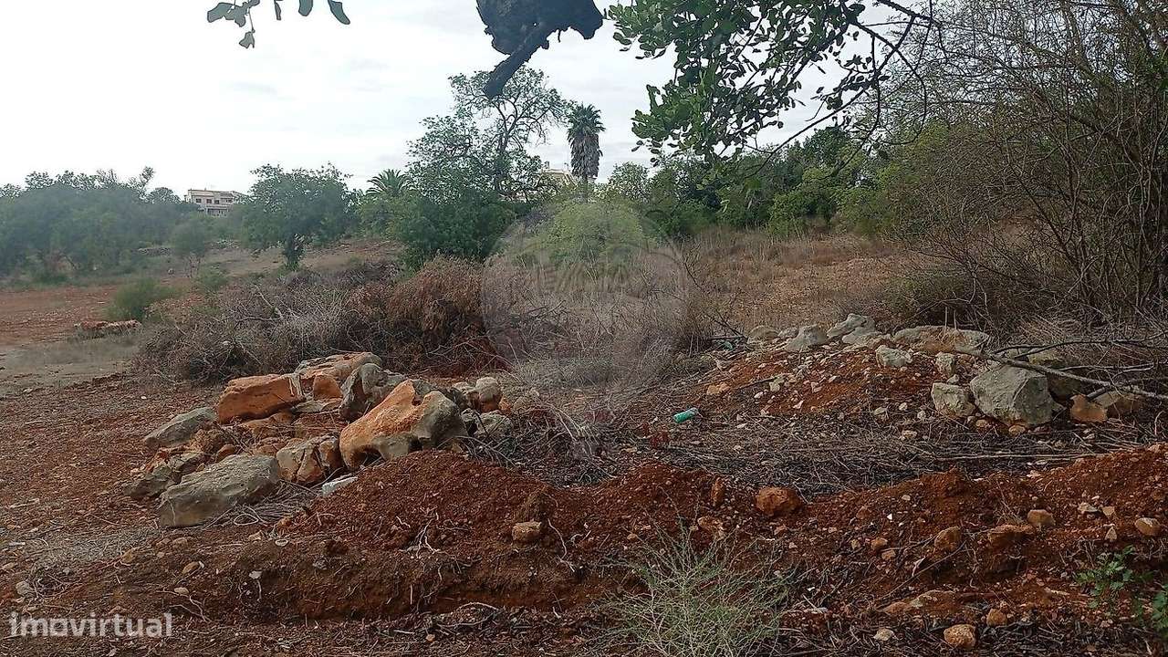 Terreno  para venda - Grande imagem: 4/5