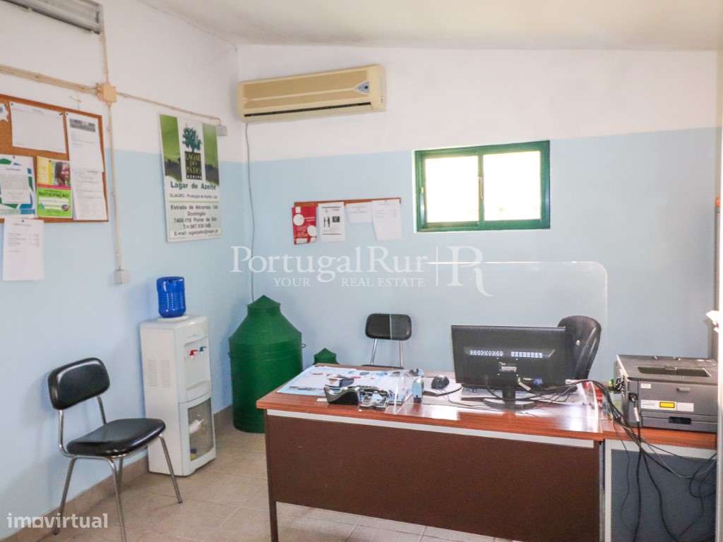Unidade Industrial de Produção de Azeite & Elevado Potencial Produtivo-19