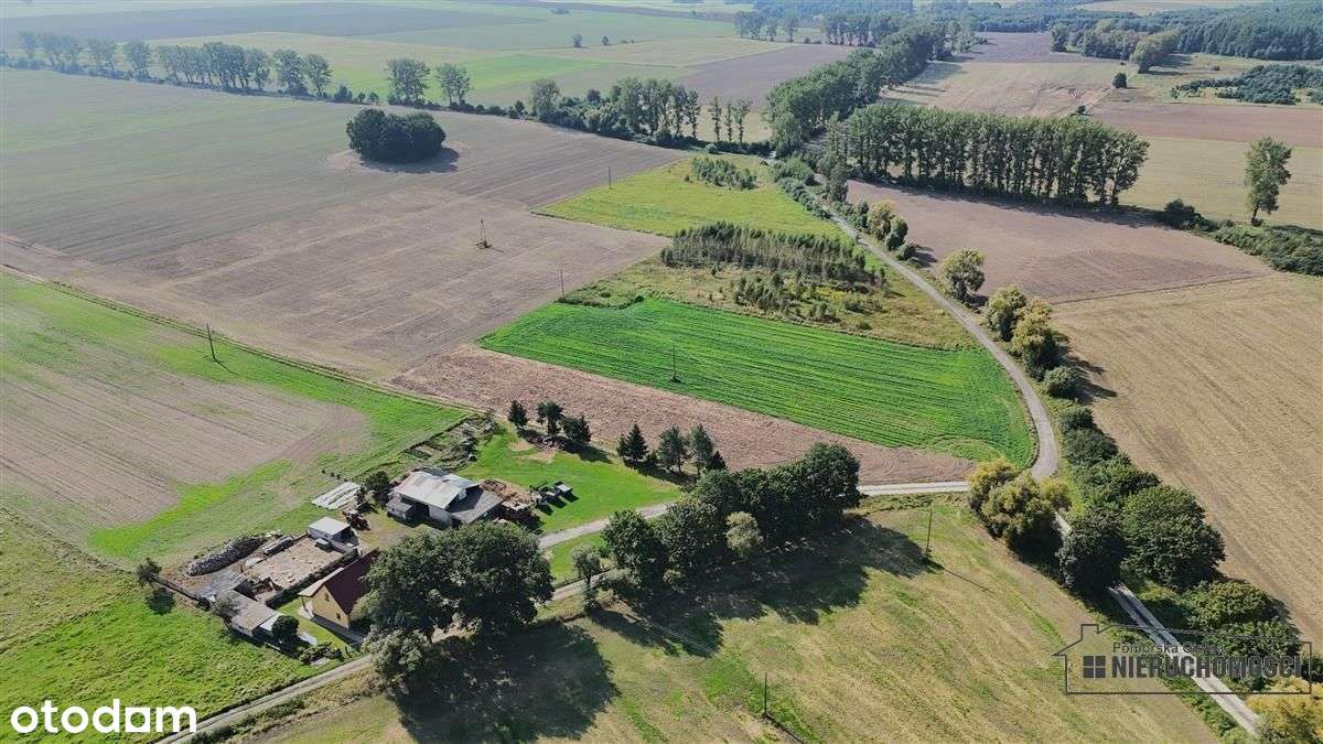 Bielikowo - działka budowlana około 20 minut od Ba-10