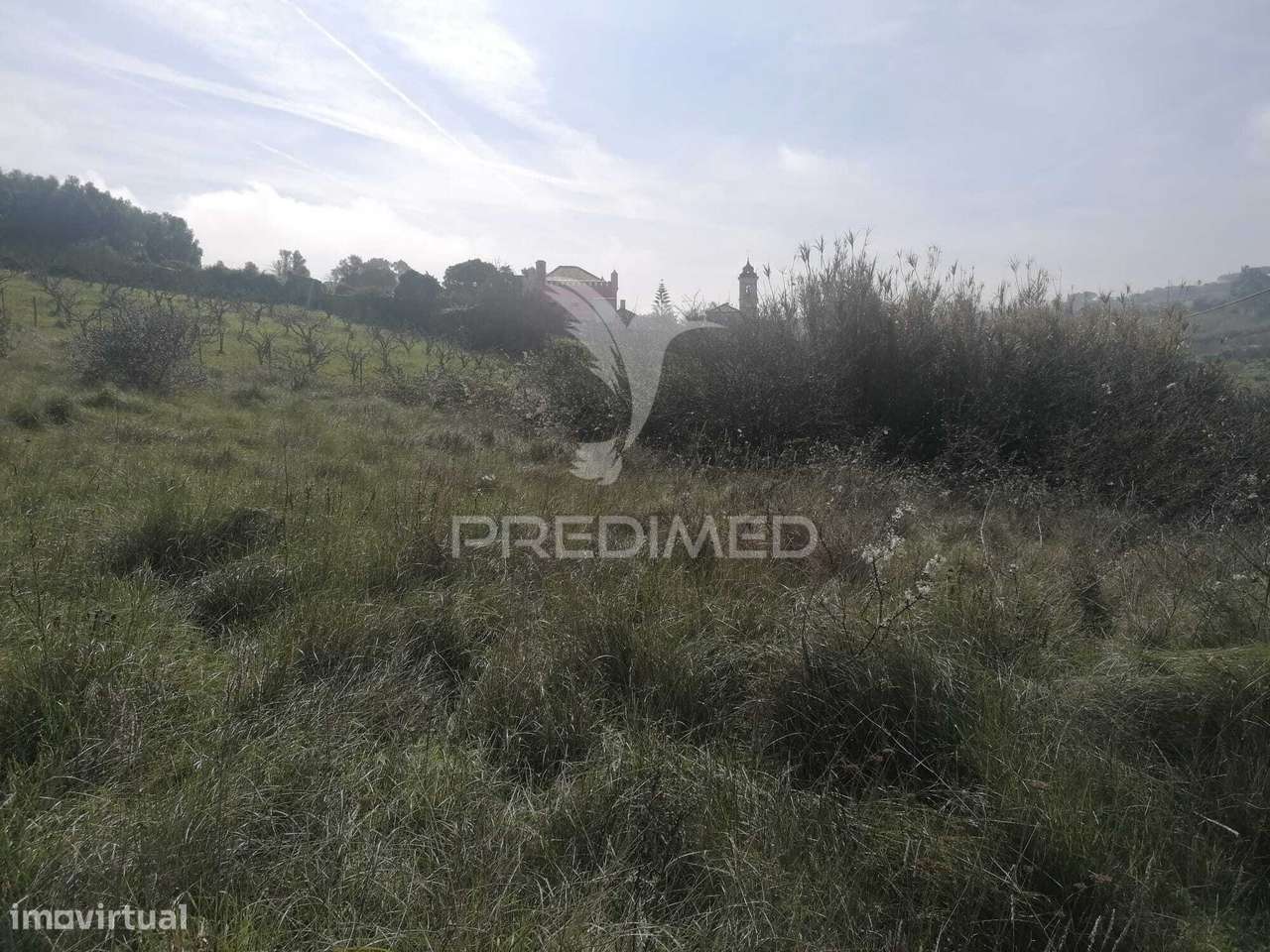 Terreno misto a 4 km de Vila Franca De Xira - Grande imagem: 4/12