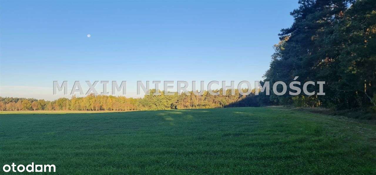 Piękne działki w miejscowości Zaręby - Pełny obrazek: 5/12