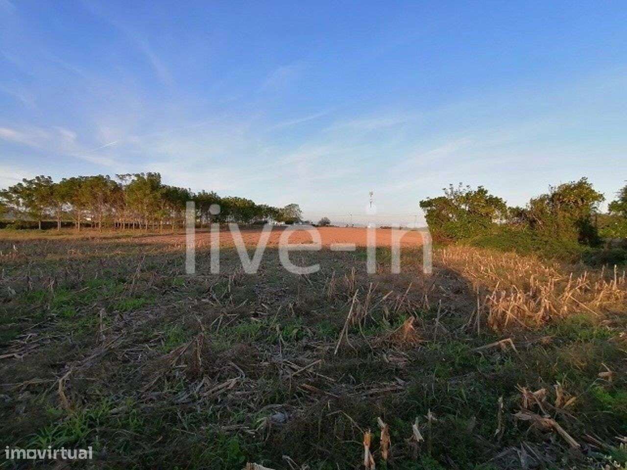 Terreno para venda em Oliveirinha-2