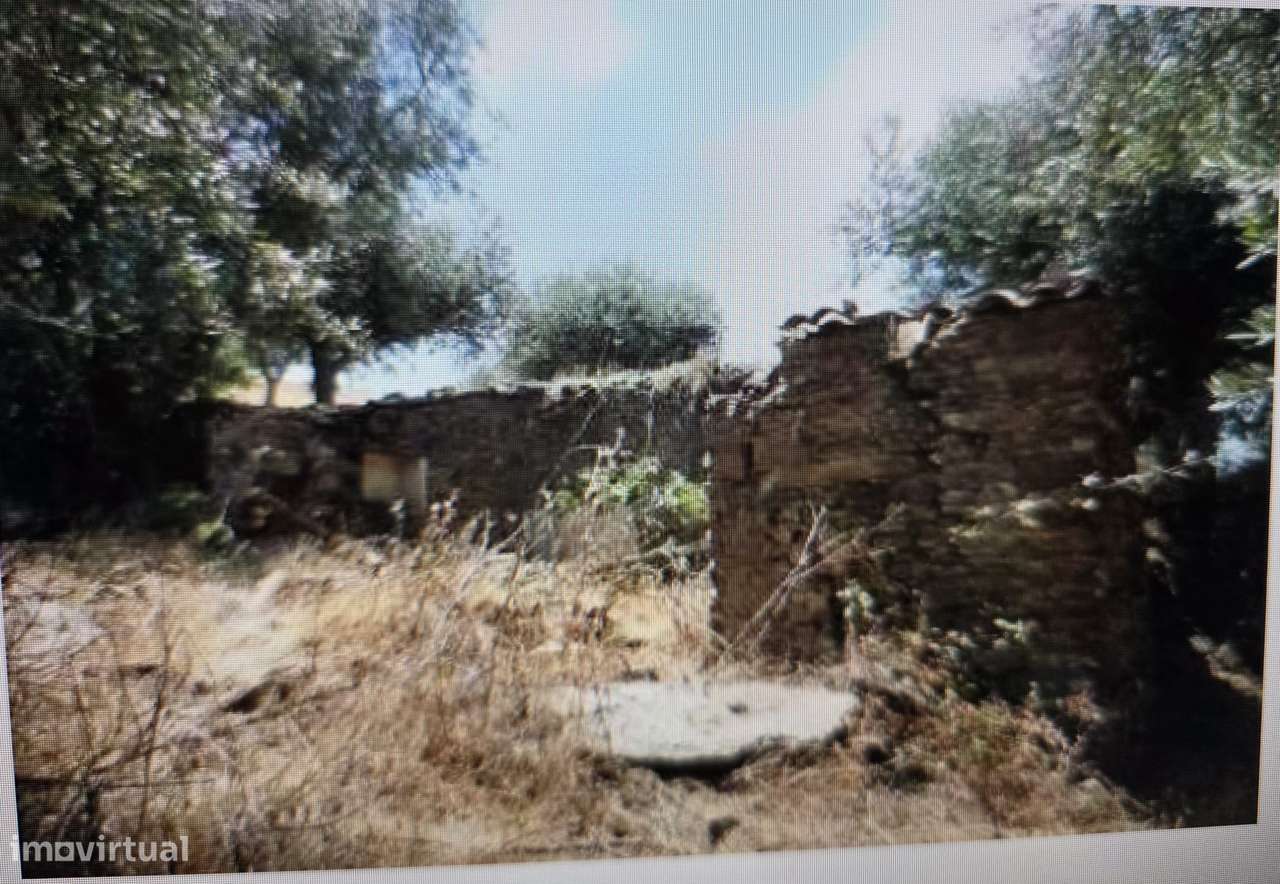 Casa em Ruína e 3 hectares terreno no Alto Alentejo em Nisa - Grande imagem: 2/9