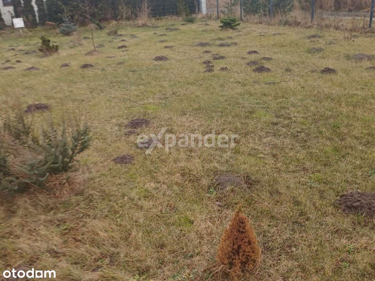 Kształtna działka budowlana - Pełny obrazek: 5/5