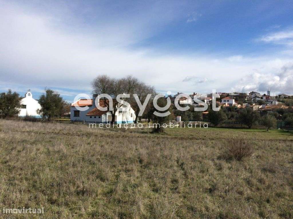 Terreno Rústico situado na Freguesia de Figueira e Barros - Grande imagem: 3/13