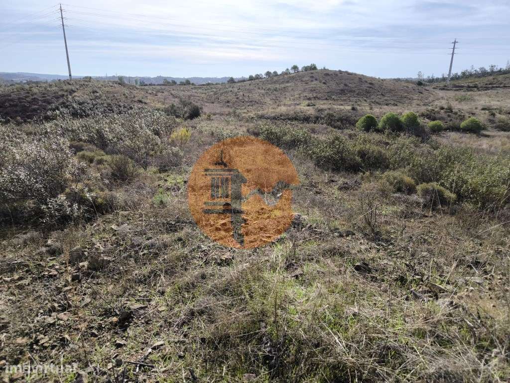 TERRENO RUSTICO COM 7.360 M2 - BELICHE - EM CASTRO MARIM - ALGARVE - Grande imagem: 5/23