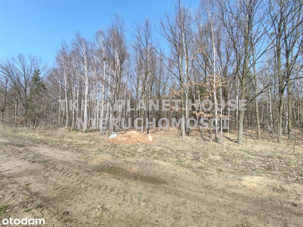 Działka na sprzedaż 397 m2 ul. Przemysłowa Opoczno - Pełny obrazek: 4/6