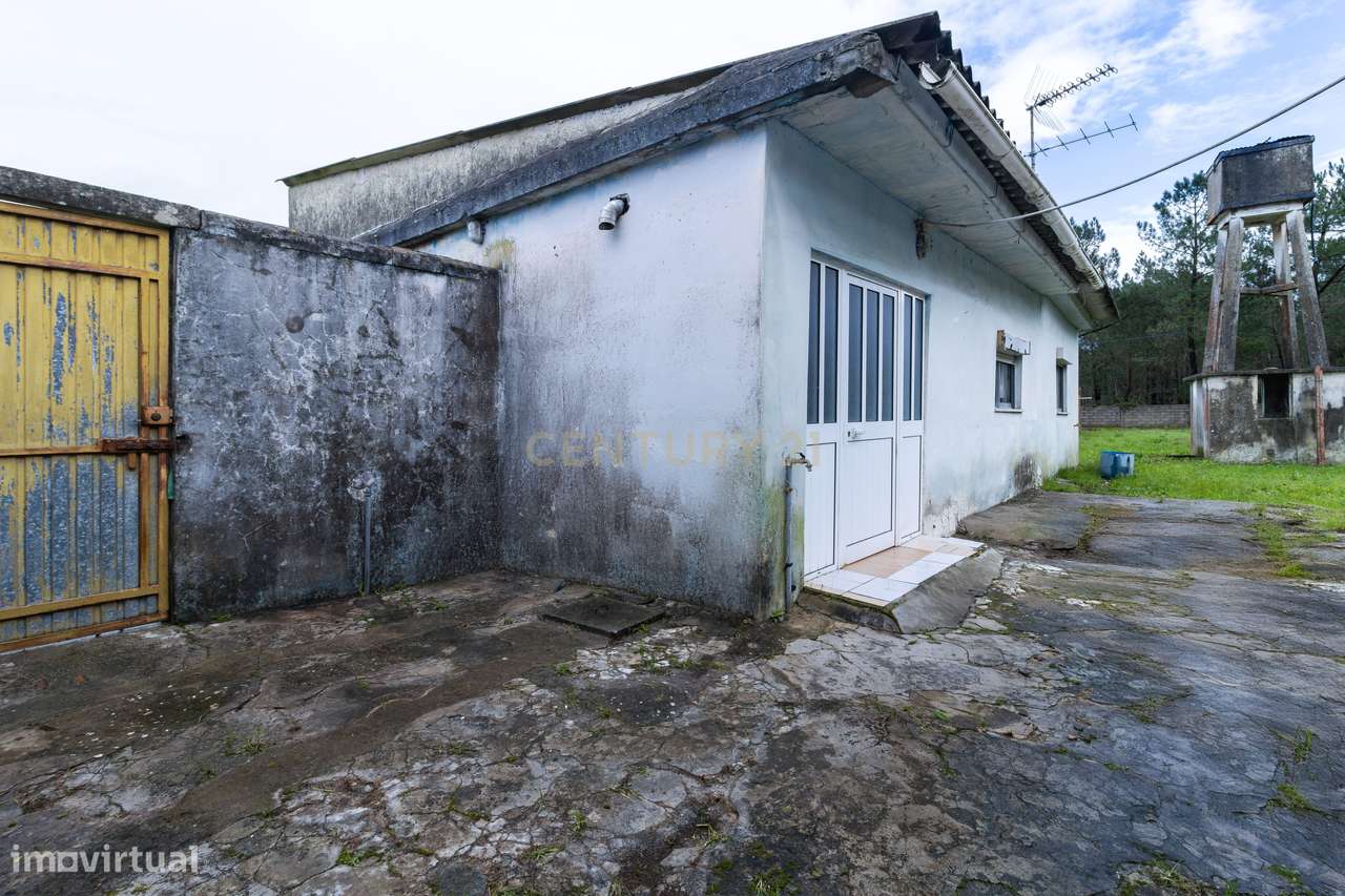 Excelente Moradia T3 Térrea - Grande imagem: 4/31