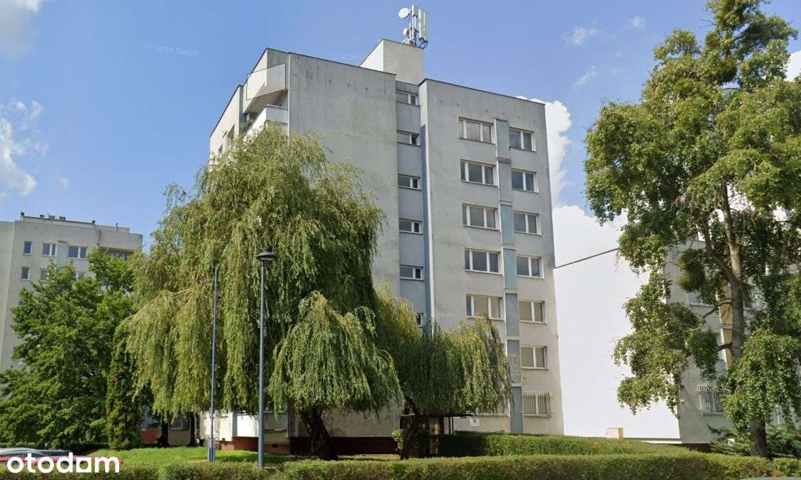Królowej Marysieńki 9 - Pełny obrazek: 4/4