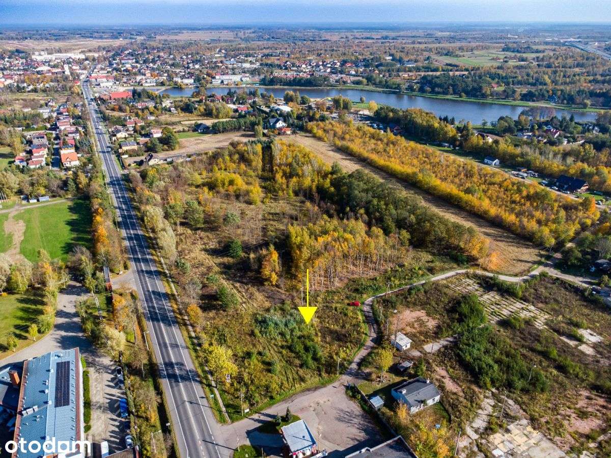 ✨Ruch, widoczność, potencjał ✨ - Pełny obrazek: 5/11