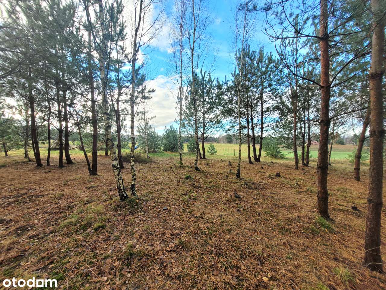 Tuż obok lasu|cisza|przepiękne widoki|szybki dojazd do obwodnicy - Pełny obrazek: 4/5