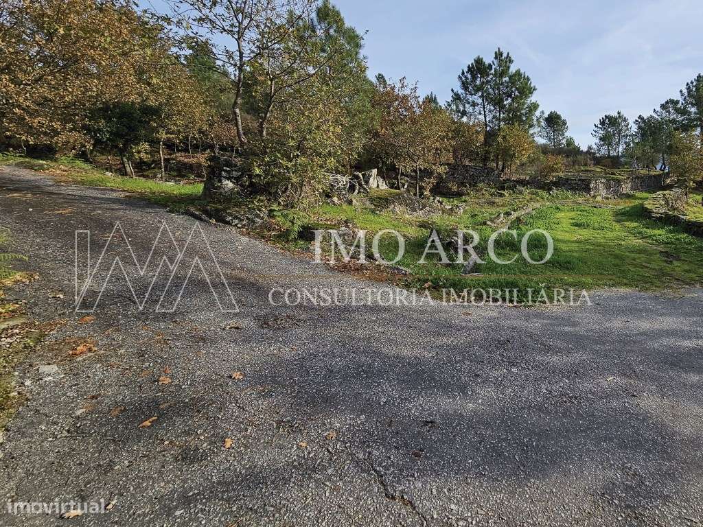 Terreno, Olival de Meanhos-20