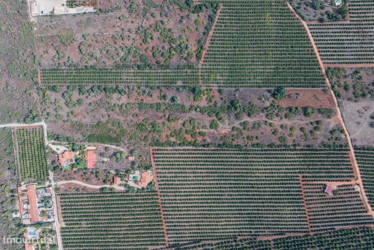 2 Terrenos Rústicos à Venda em Algoz - Grande imagem: 4/12