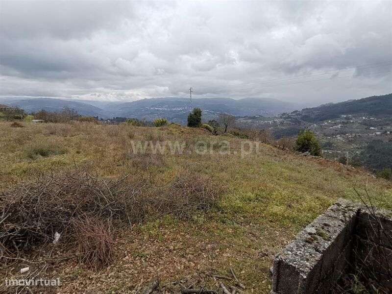 Terreno / Baião, Baião (Santa Leocádia) e Mesquinhata - Grande imagem: 4/6