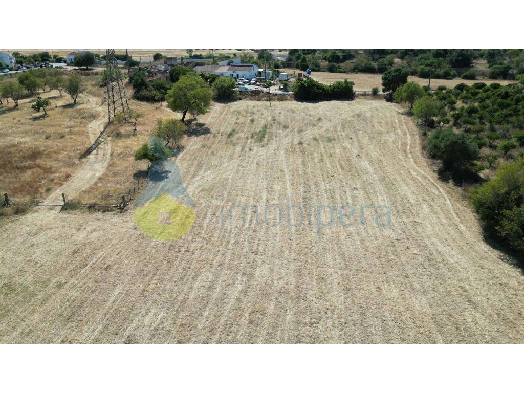 Terreno rústico para venda em Tunes - Grande imagem: 5/7