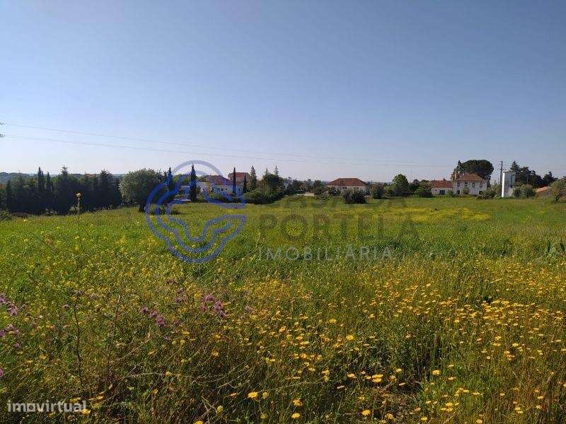 Terreno com 13.700m2 a 5 minutos da cidade de Tomar - Grande imagem: 2/19