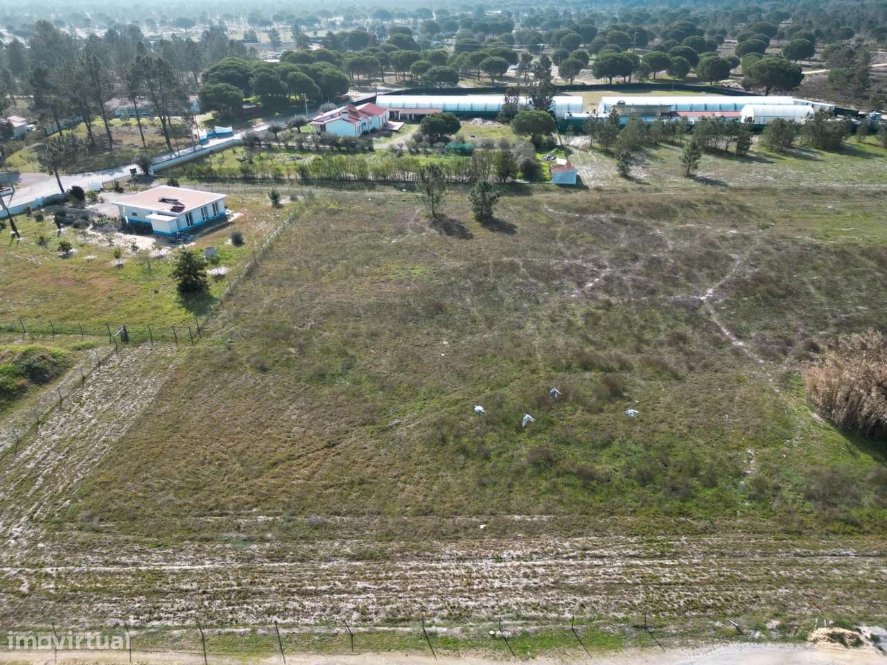 Terreno Rústico 4749 m2, Álcacer do Sal, Alcacer do Sal - Grande imagem: 5/7