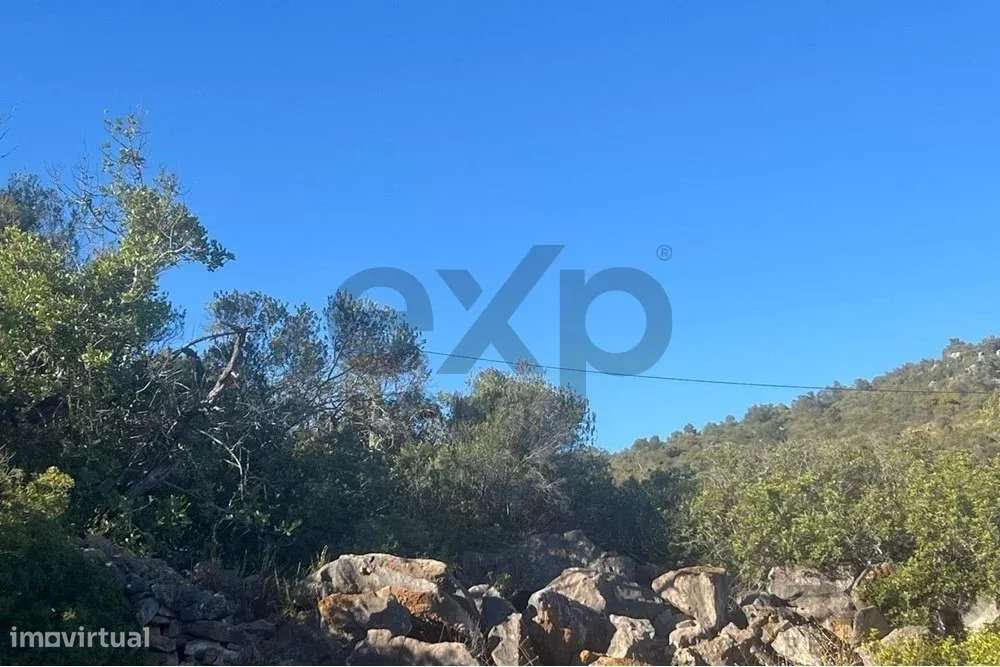 Terreno rústico de 11200m2 em Moncarapacho, Algarve-7