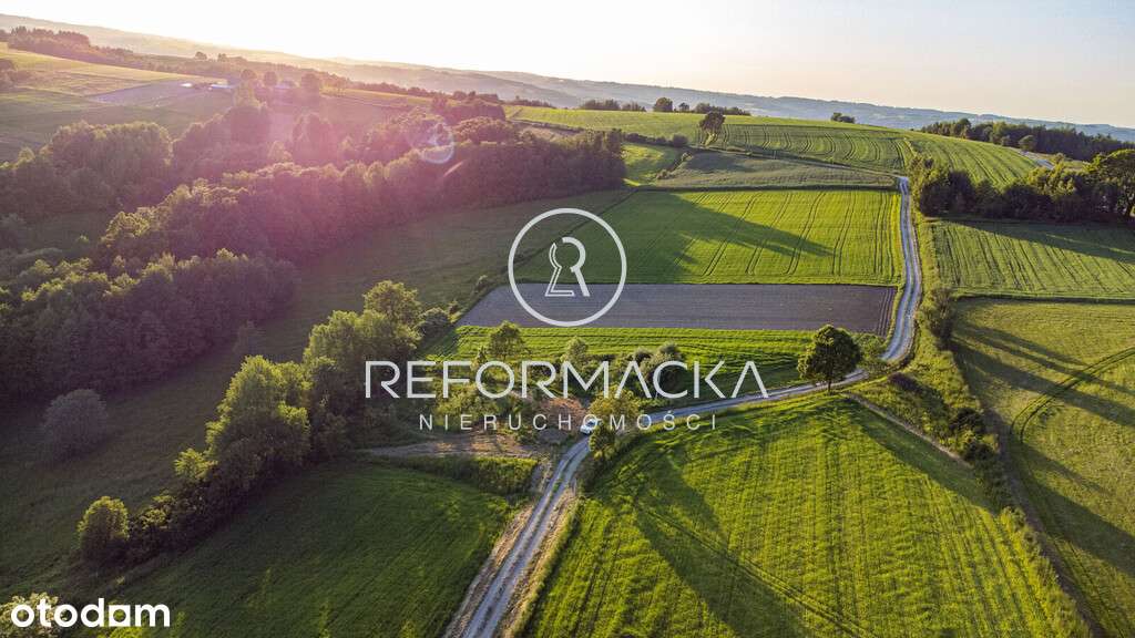 Działka z warunkami zabudowy | media na działce - Pełny obrazek: 4/6