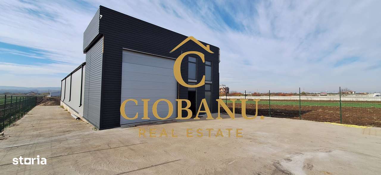 Hala de vanzare in Racari de Jos-0