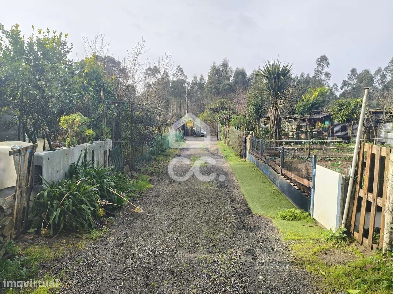 Lote de Terreno para Desenvolvimento | 8.800 m² | Valongo | Com Rendim - Grande imagem: 5/17