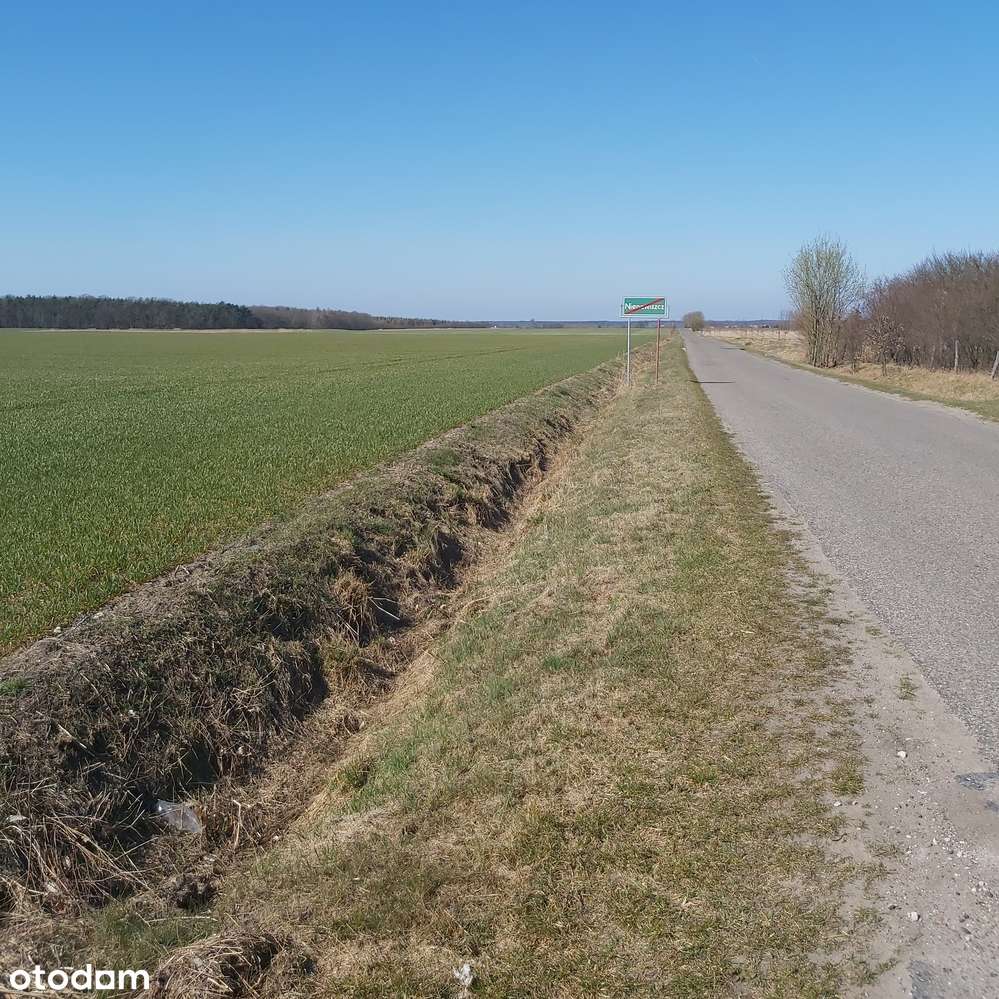 Nienawiszcz, rola, blisko Rogoźna, pod inwestycję-1