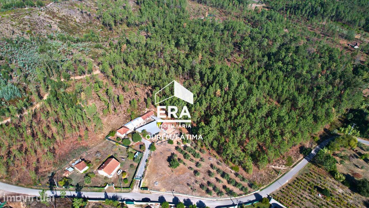 Moradia T3 implantada num terreno com 3.855m2 em Casal Domingos João-29