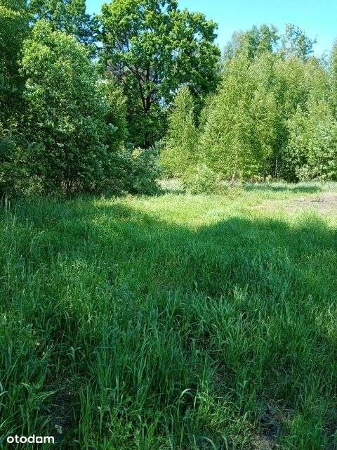 Atrakcyjna działka 1200m2 - Pełny obrazek: 2/8