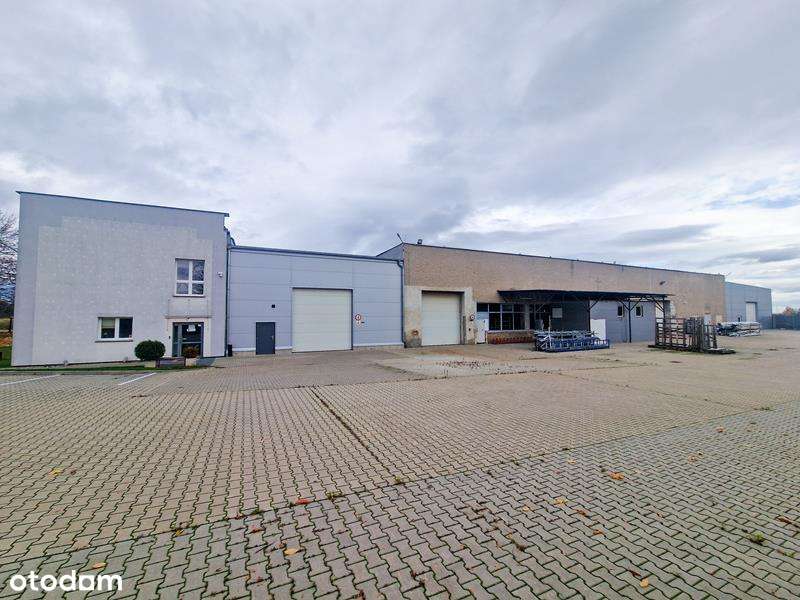 Produkcja od zaraz? To tu!-3