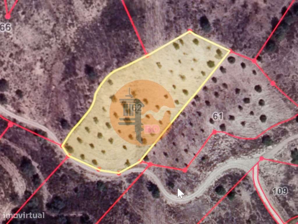 TERRENO RÚSTICO COM 5.640 M2 EM ALCARIAS GRANDES - CASTRO MARIM - A... - Grande imagem: 2/25