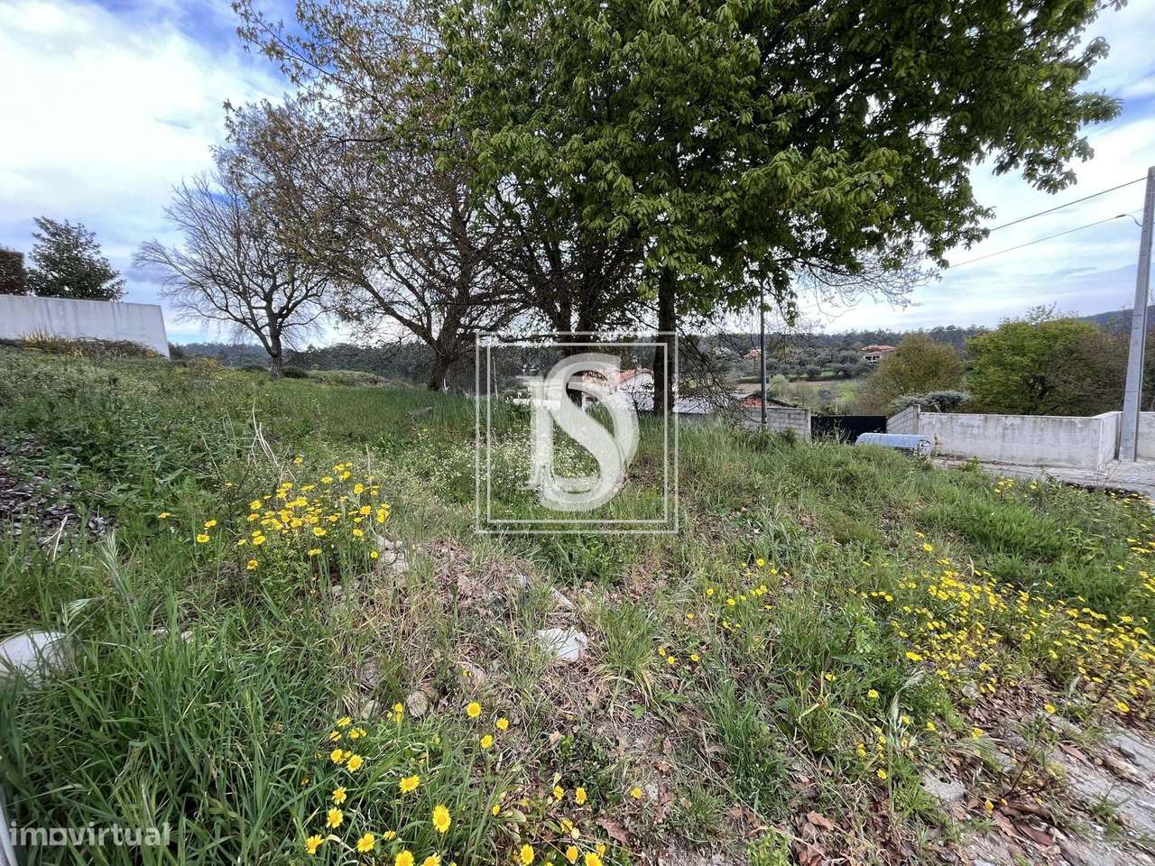 Terreno Não definido em UDF de Alvito (São Pedro e São Martinho) e Cou - Grande imagem: 4/13