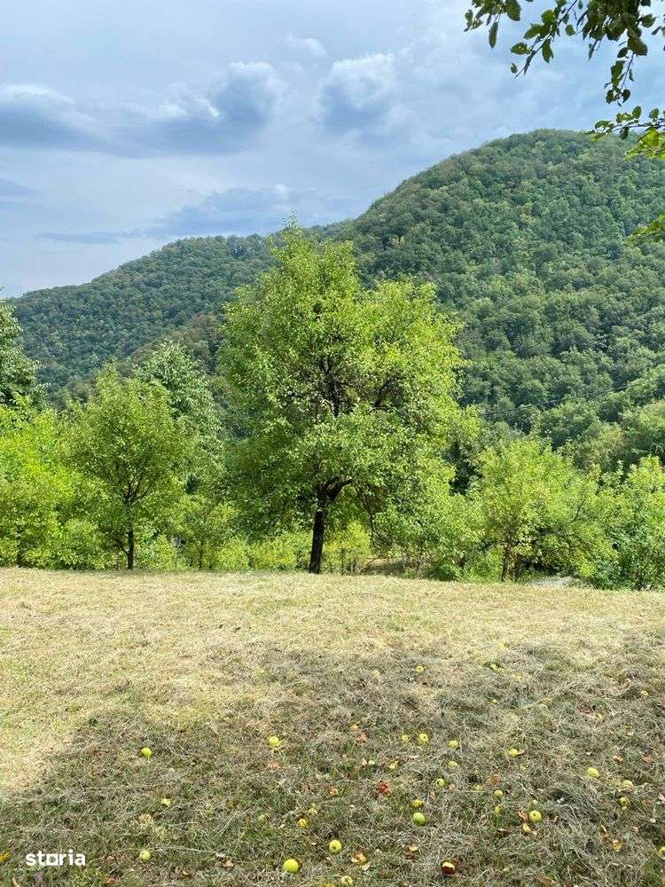 Vând teren intravilan 2662mp în Govăjdia, la 17 km de Hunedoara - Imagine principală: 4/13