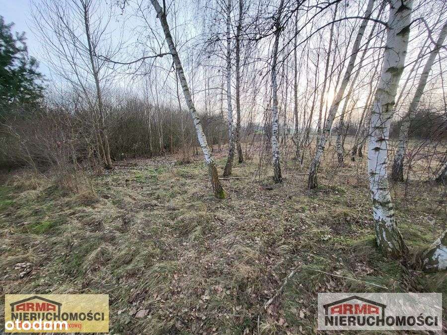 Działka Ze Stawem W Brudzewicach - Pełny obrazek: 4/7