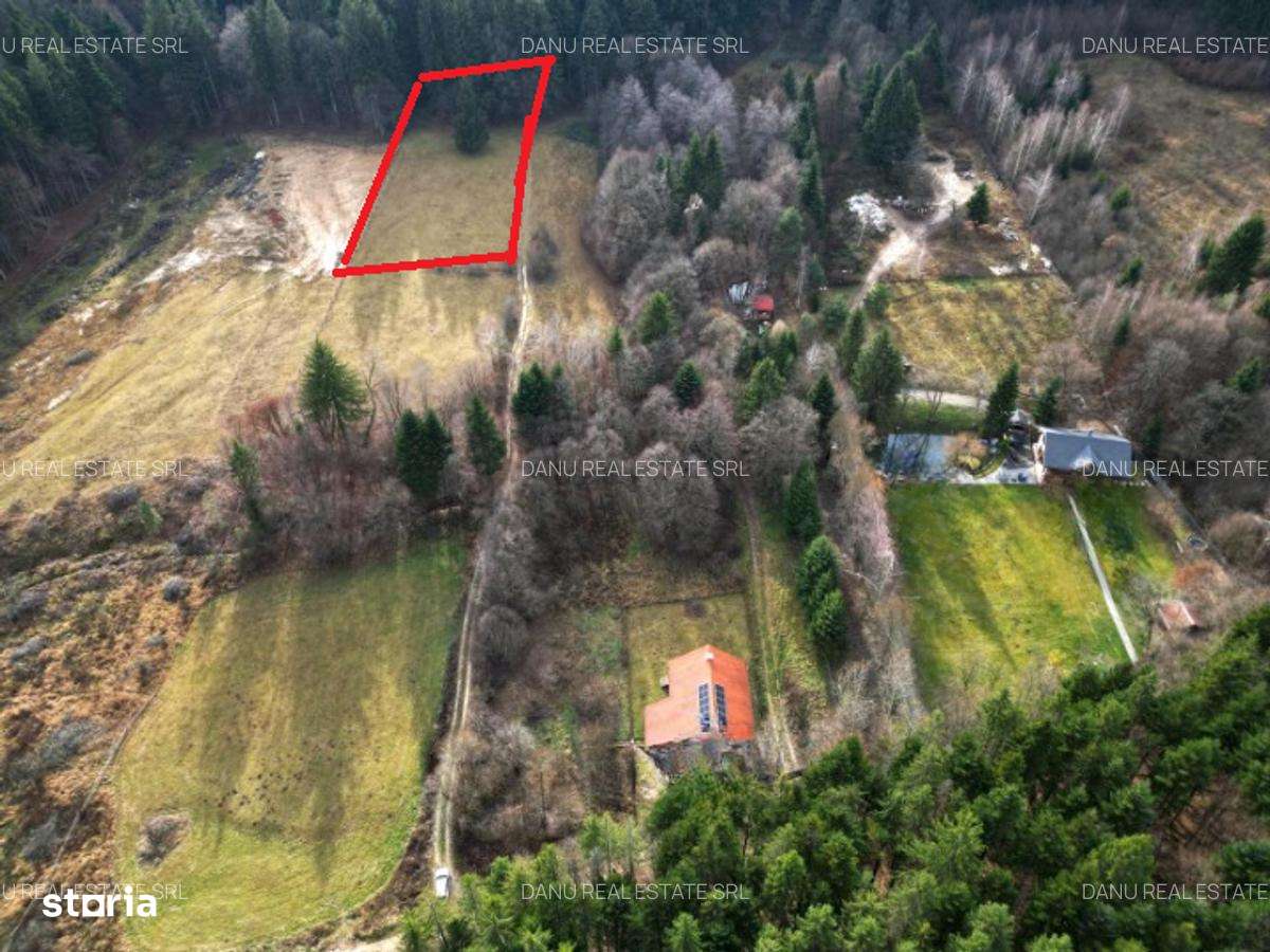 Teren intravilan2000mp în Vulcan BV–Oază de liniște -pădure si lacuri-8