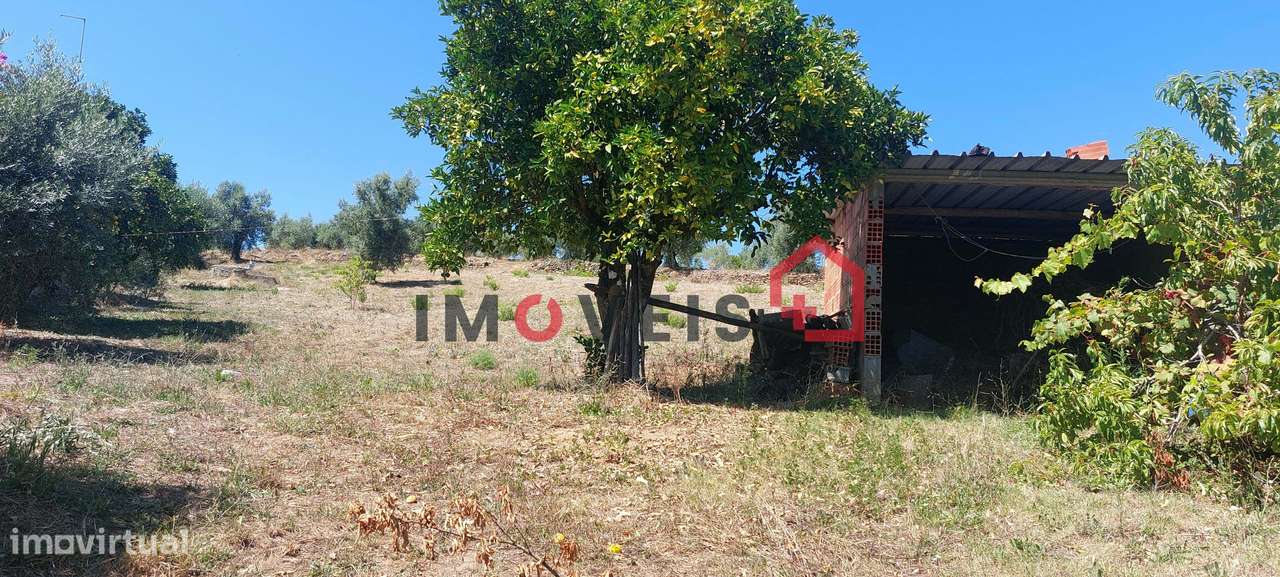 Terreno para construção com vista desafogada! - Grande imagem: 3/6