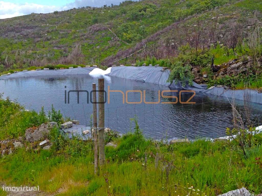 Terreno de 84 hectares-30