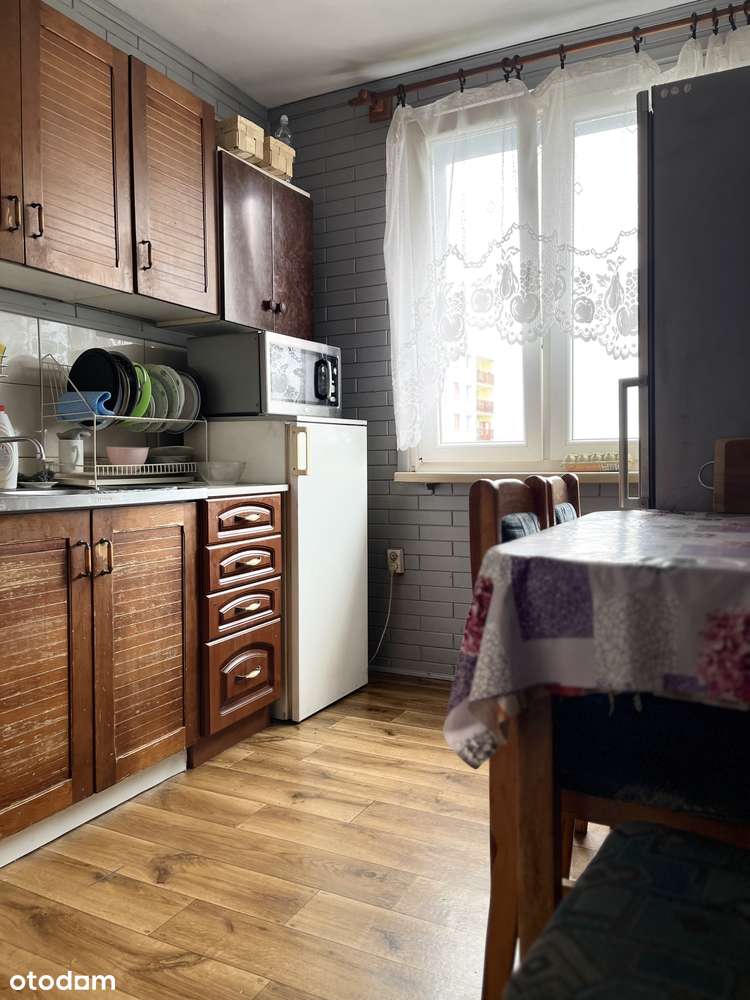 DO WYNAJĘCIA DUŻY POKÓJ PRZY UL. JABŁECZNEJ WE WROCŁAWIU (CENTRUM) - Pełny obrazek: 2/7