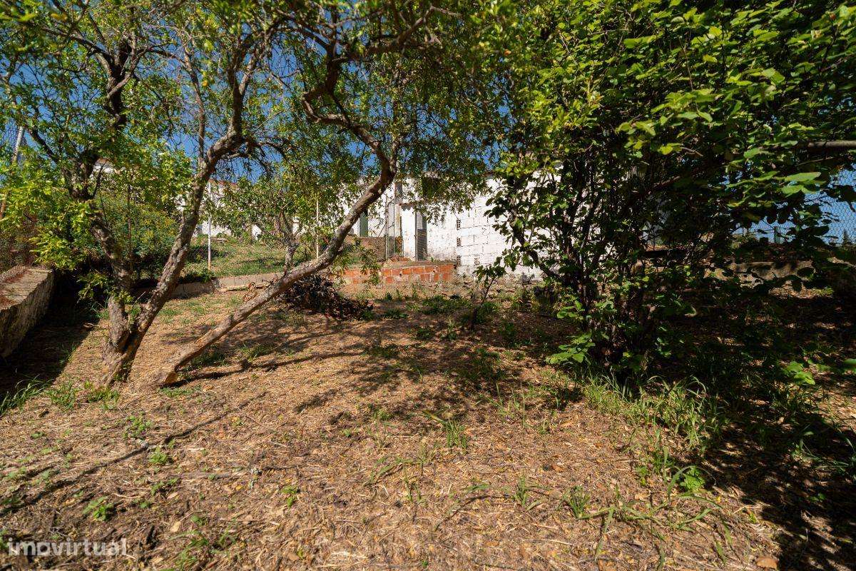 Casa Tradicional Algarvia com Charme no Alportel -  São Brás de Alport-30