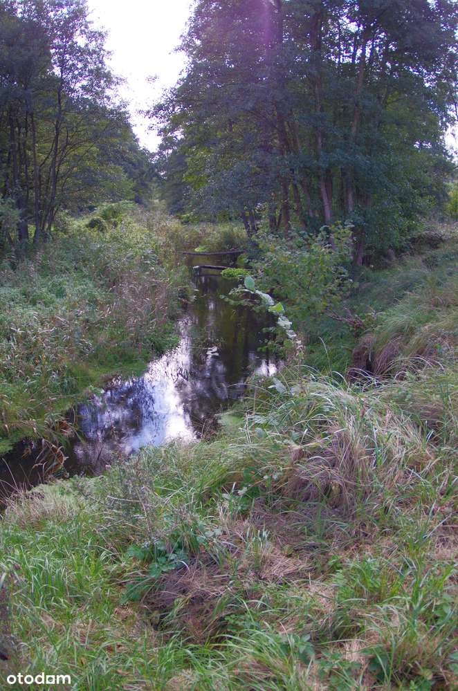 Działki nad morzem-7