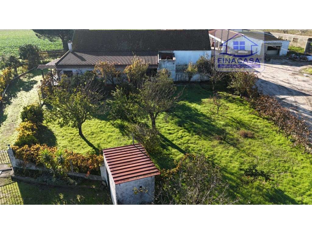 EXCLUSIVO - Quinta com 2069 m2, T1 e um armazém - Asseiceira(Palmela)-49
