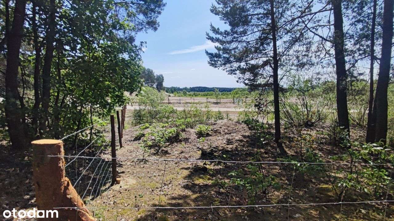 Działka Budowlana Brzóze Małe 1100 m/kw-8