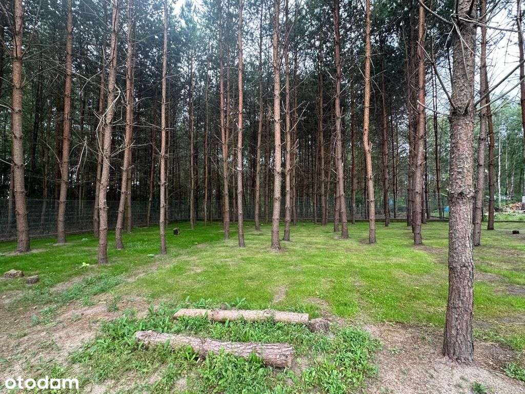 Dom w cichej i zalesionej okolicy, 90 km od Wawy-11