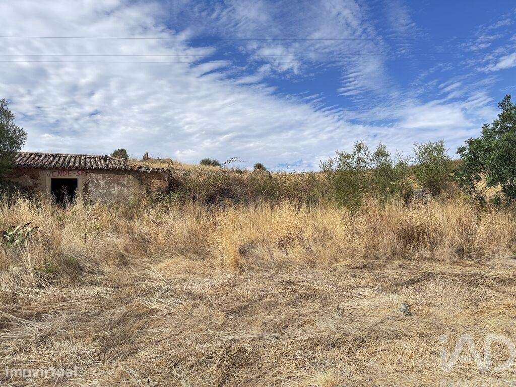 Casa / Villa T3 em Mexilhoeira Grande de 178,00 m2 - Grande imagem: 4/11