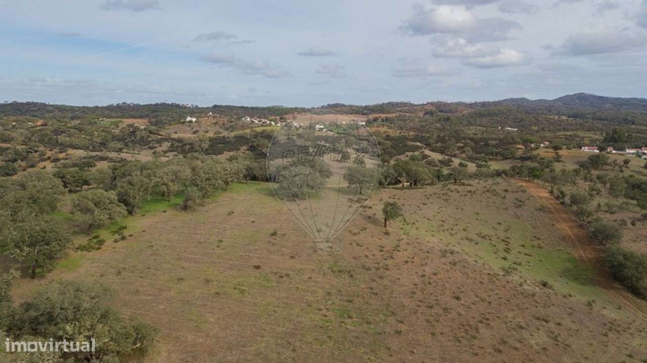 Quinta T2 para venda - Grande imagem: 3/24