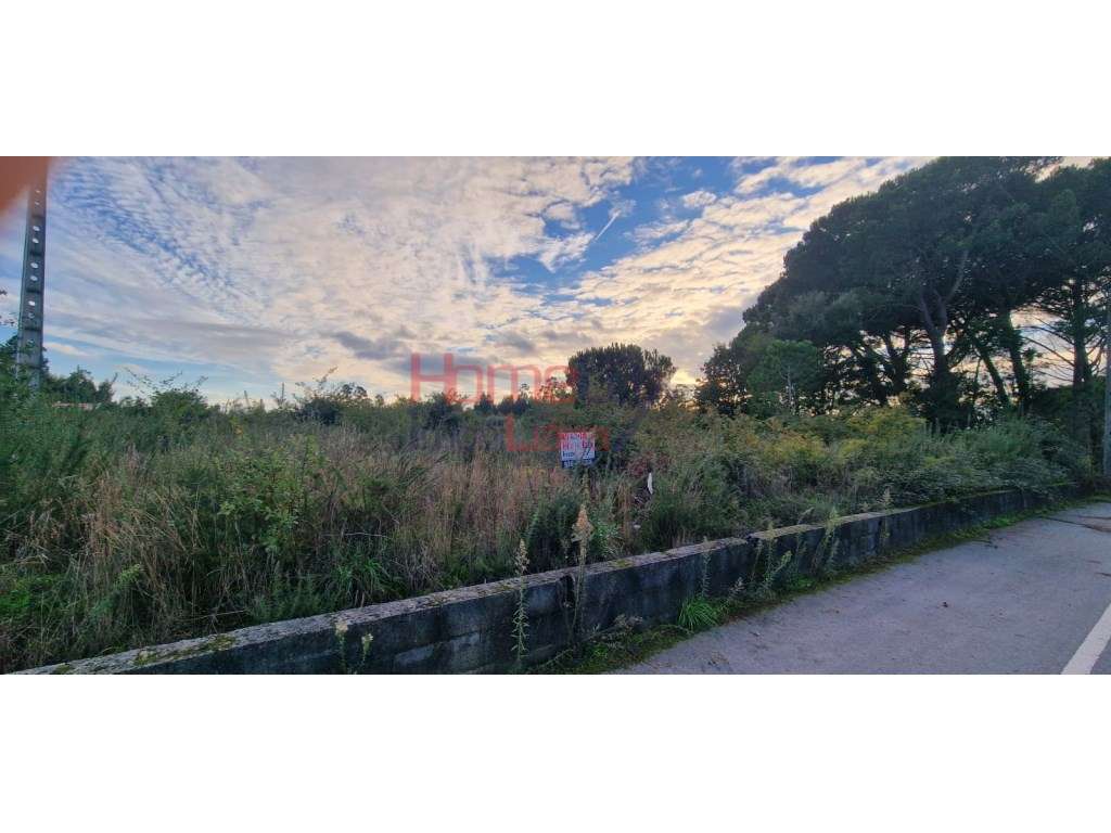 Terreno Rústico com viabilidade de construção, Silgueiros. Viseu - Grande imagem: 4/14