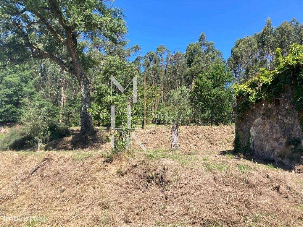 MORADIA EM RUÍNA com 3177m2 de terreno, em PONTE DE LIMA - Grande imagem: 5/9