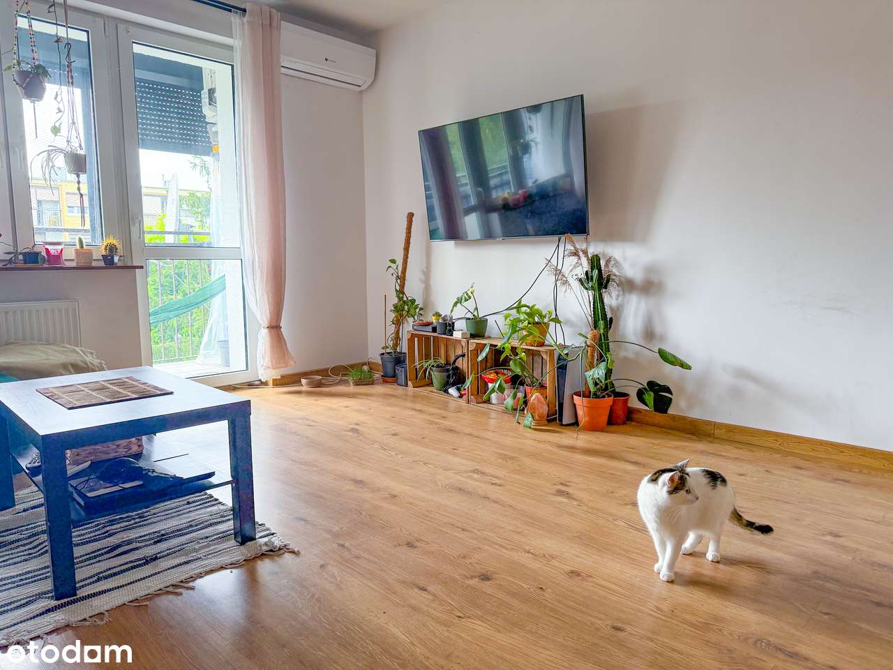 Funkcjonalne Mieszkanie w Świetnej Lokalizacji ! 59,1m2 - Pełny obrazek: 1/11