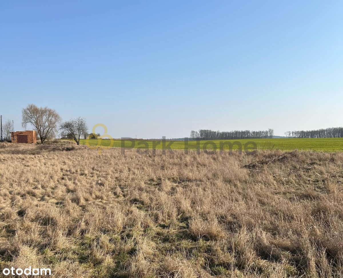 Duża działka na Duży dom - Pełny obrazek: 5/6
